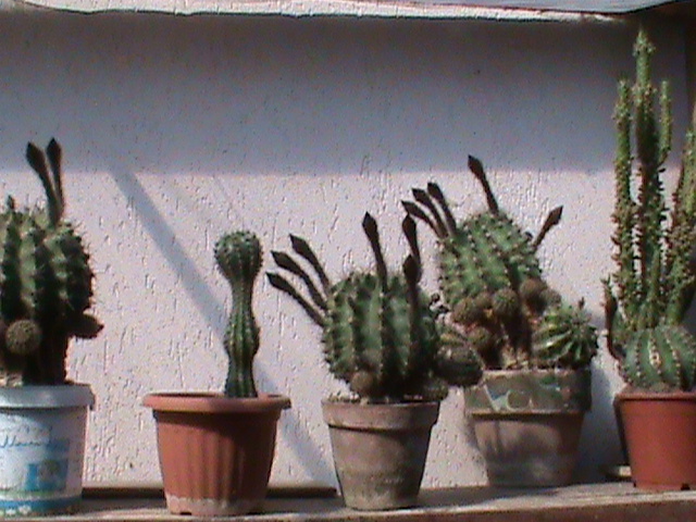 DSC00589