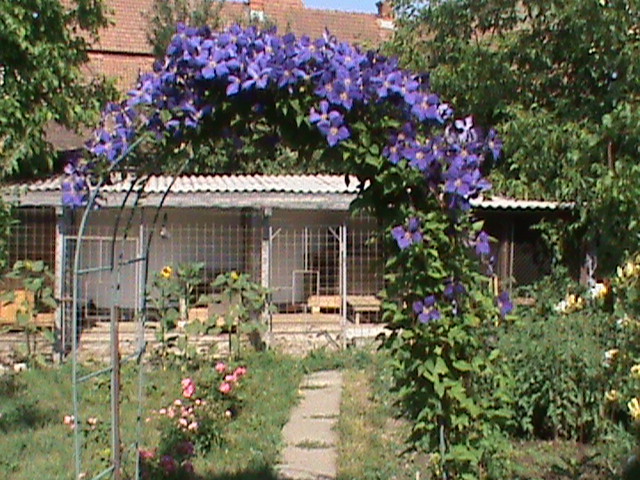 DSC00612