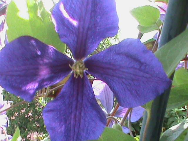 DSC00620