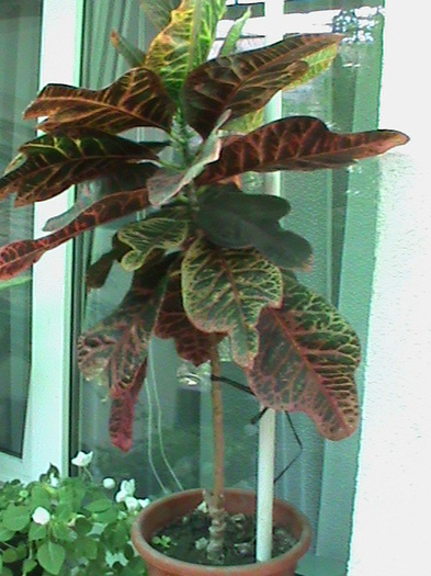 DSC00626