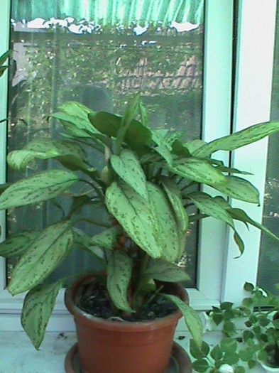 DSC00628