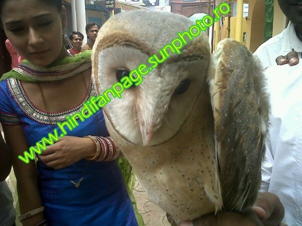 253424_10150213951654556_165475334555_6892661_1414241_n