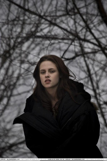 Twilight - Kristen Stewart