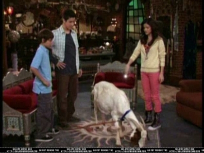 normal_wowpS01E08_0009 - Wizards Of Waverly Place - Curb Your Dragon - Screencaps