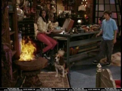 normal_wowpS01E08_0122 - Wizards Of Waverly Place - Curb Your Dragon - Screencaps