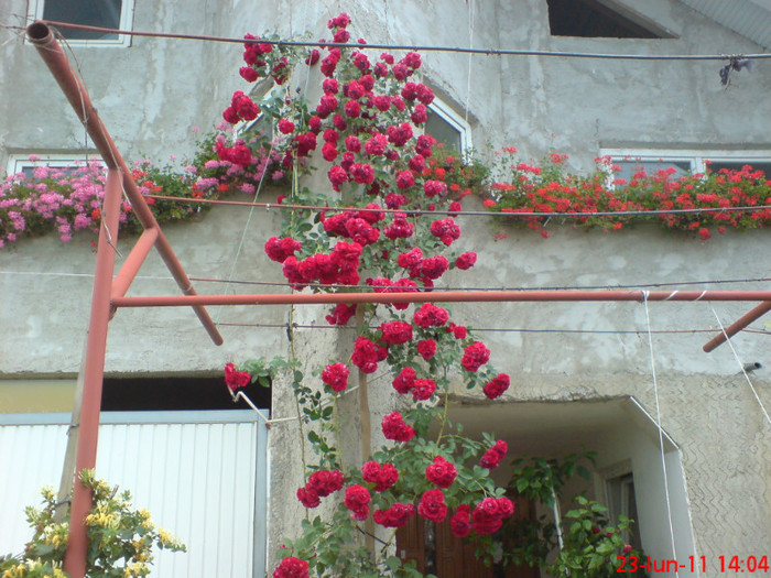 poze sony ericson solar 062