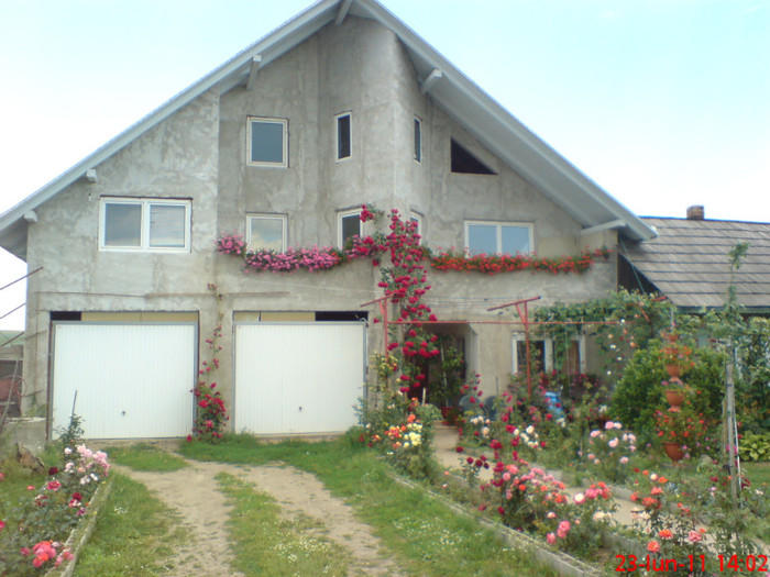 poze sony ericson solar 064