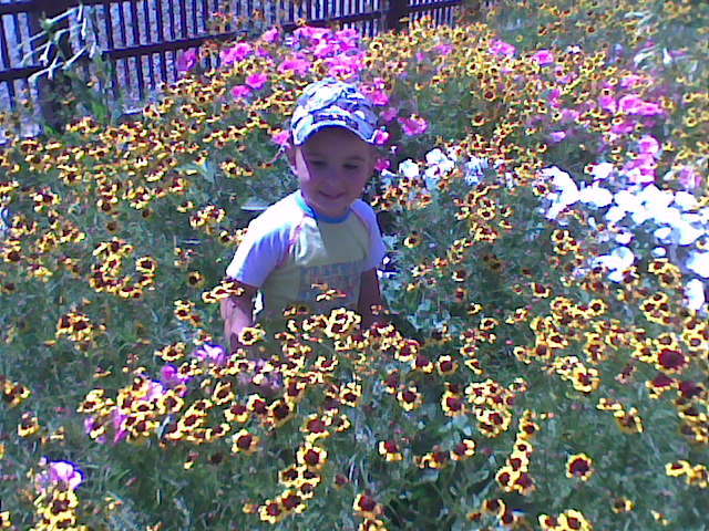 fiul cel mic - Cele mai dragi flori si eu