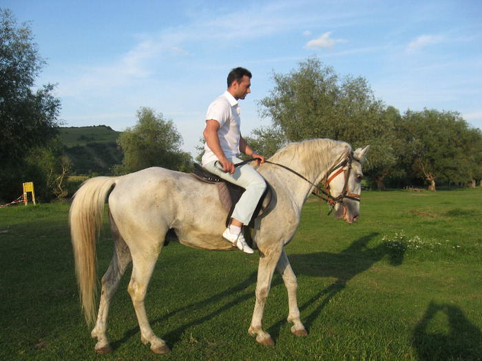 LIPITAN SIGLAVY CAPRIOLA