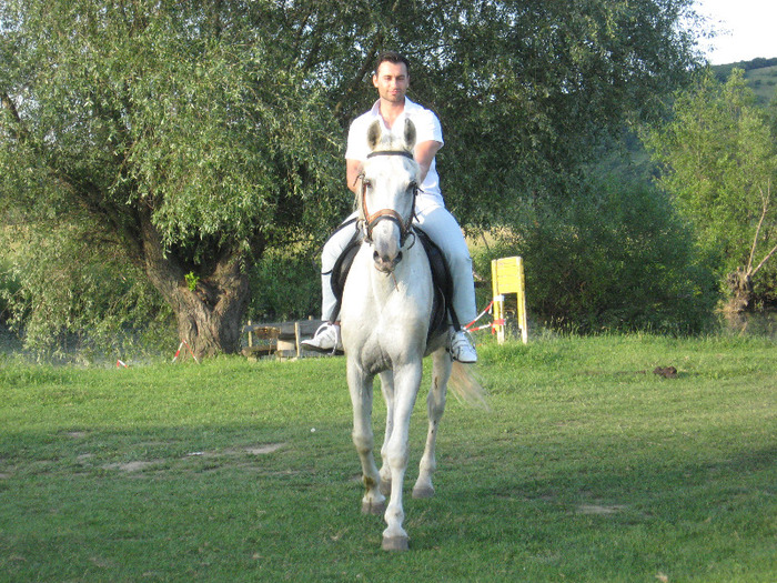 LIPITAN SIGLAVY CAPRIOLA