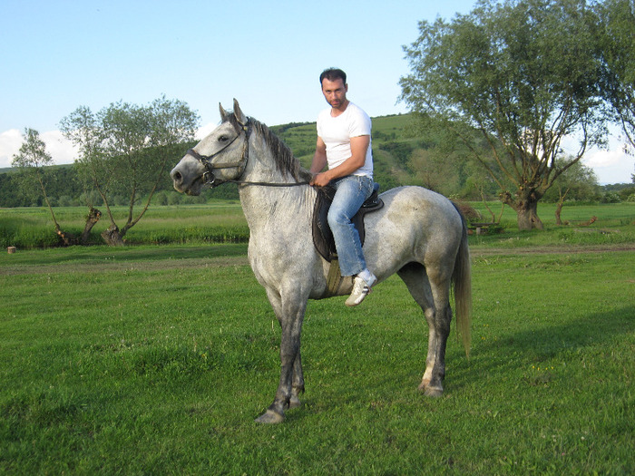 LIPITAN CONVERSANO