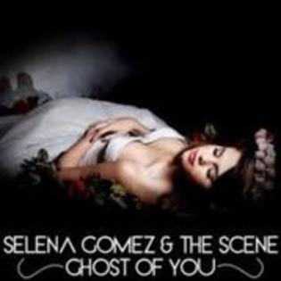 39907916_WWRCXXSSN[1]