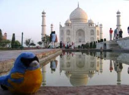 images (12) - Taj Mahal