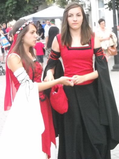 Picture 1588 - FESTIVAL MEDIEVAL 2011