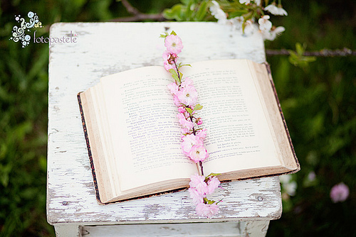 tumblr_lncdj4eD9C1qb9ydeo1_500_large