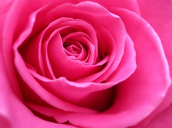 roz - Lucruri roz