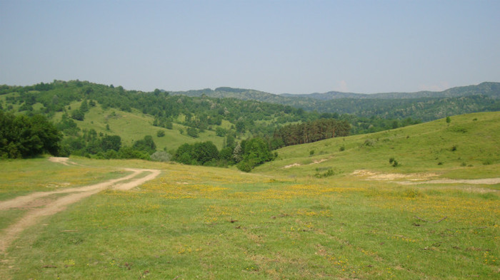 DSC09637