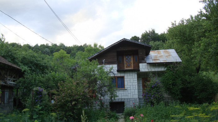DSC09749