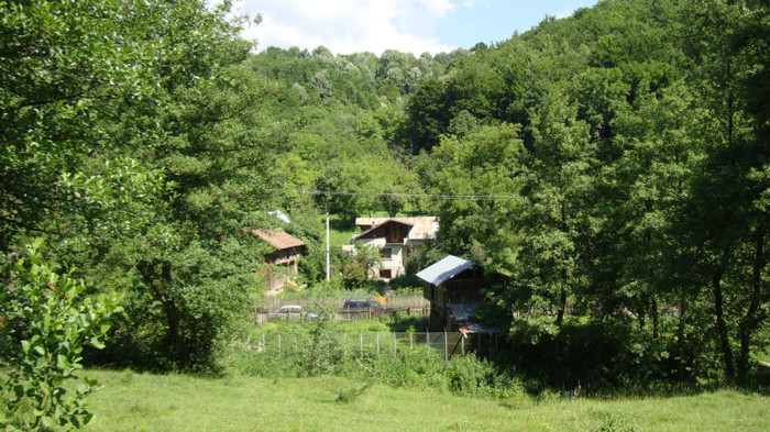 DSC09750