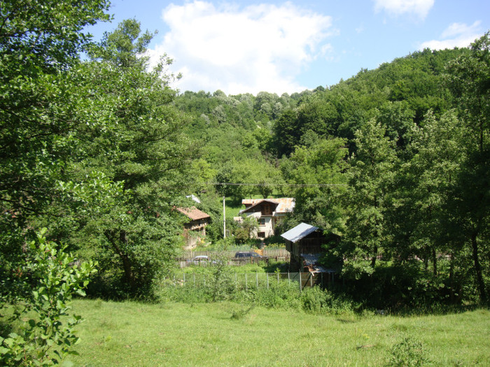DSC09751
