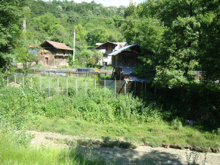 DSC09753