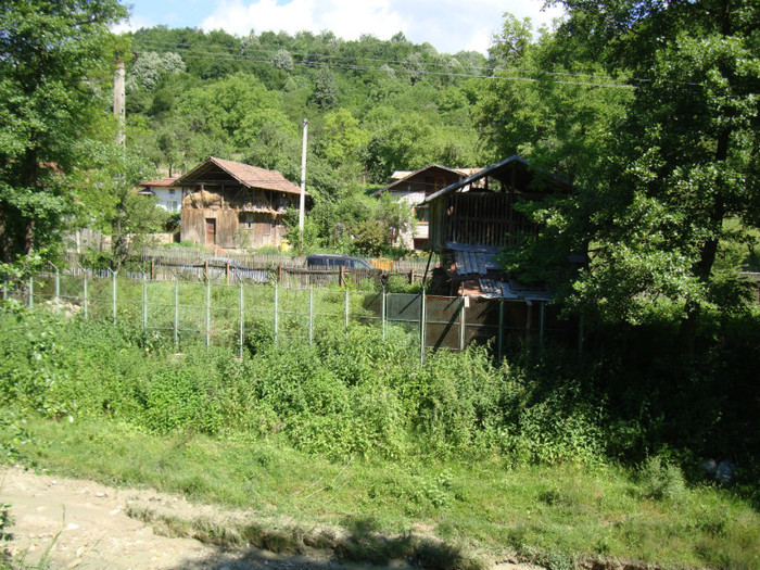 DSC09754