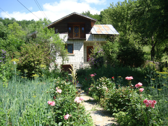 DSC09757