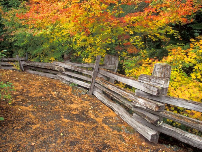 Split-Rail, Mount. Rainier National