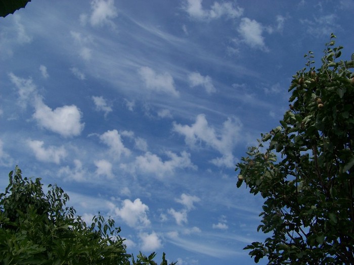 100_9319 - Iunie 2  2011