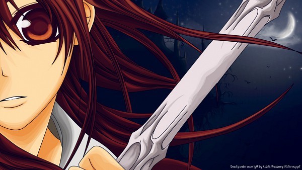 249420 - Yuuki Cross