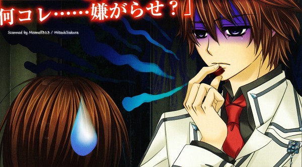 vk funny 2 - Vampire Knight Funny