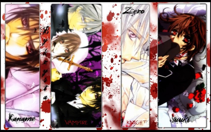 vk2 - Vampire Knight