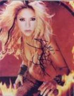 39958664_HKDMCZBDS - shakira