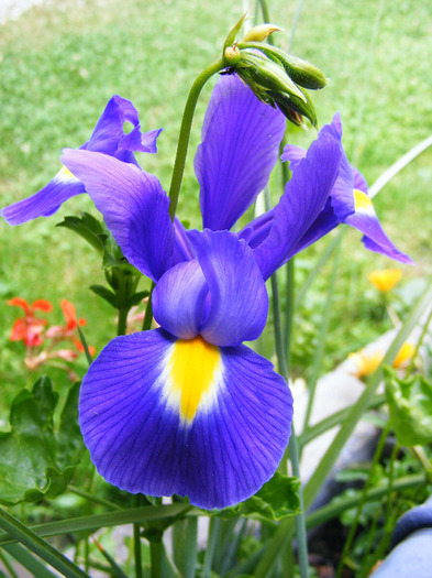 DSCF6164