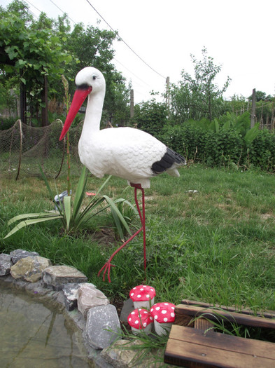 DSCF3763 - un colt de delta in gradina