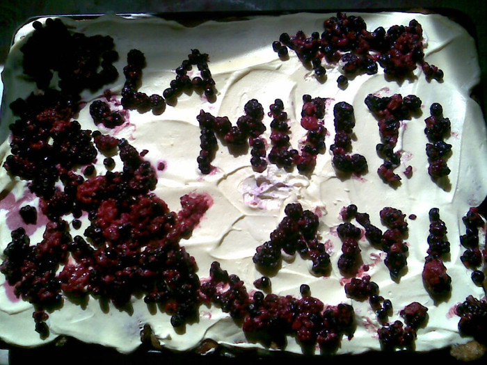Tiramisu cu fructe de padure- Amelia
