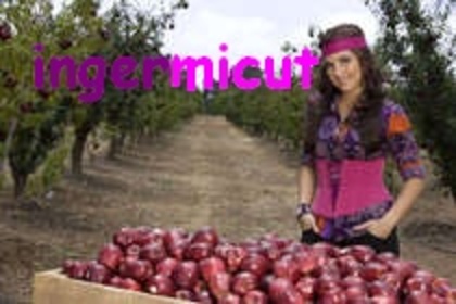 34984709_DVDSUTUAI