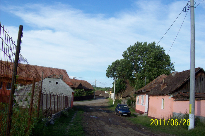101_9895 - SATUL  PALOS ARDEAL