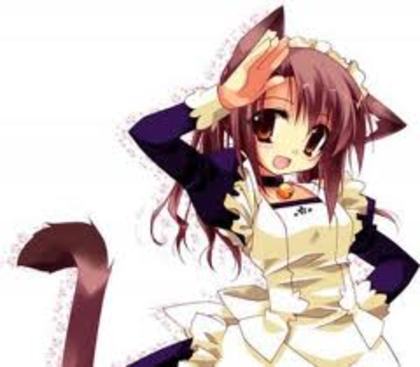 images (15) - anime kitty girl