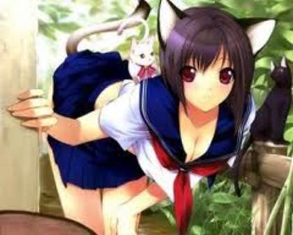 images (50) - anime kitty girl