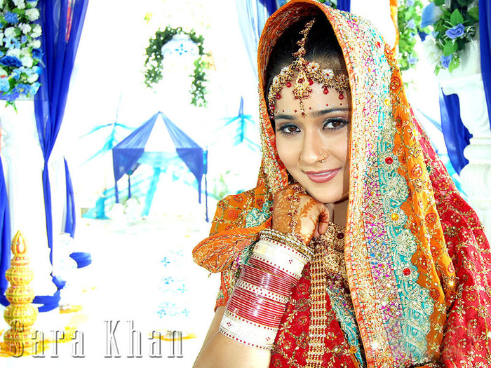 wallpaper - Sadhna-Sara Khan