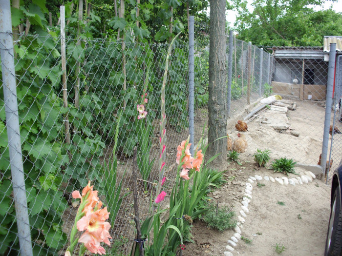 inaltime 1 m si ceva