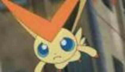  - 000 Victini al meu 000