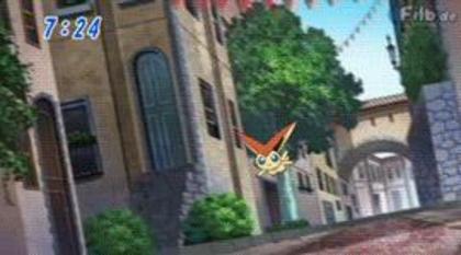 1 - 000 Victini al meu 000