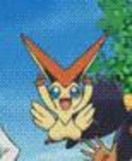 1 - 000 Victini al meu 000