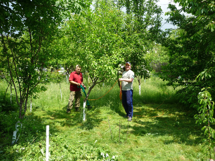 7 iunie 2011 - Vara