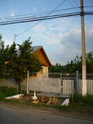 7 iunie 2011 - Vara