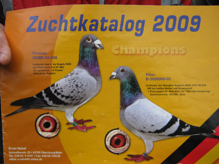 cred ca se vede rasa -curata - Knoll Franz campionul european europa meister Knoll Franz