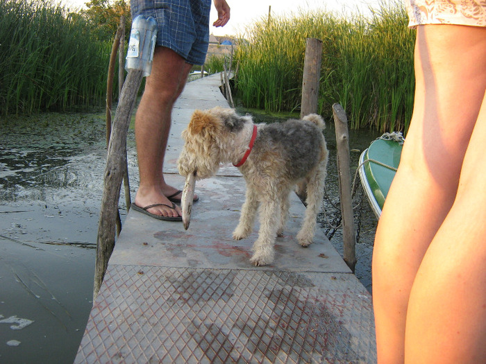 delta 086 - Delta 2011