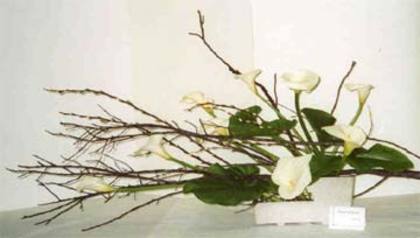 ikebana formativa - IKEBANA-unul dintre cele mai fascinante lucruri si mai intersante pt mine